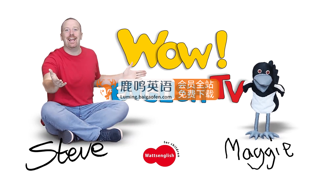 Wow English TV史蒂夫Steve – 少儿英语启蒙839集+高清视频百度网盘