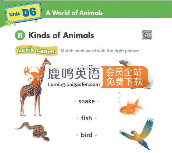 美国幼儿园原版教材《American textbook》全套PDF+音频！百度网盘下载！-校汇学习课堂