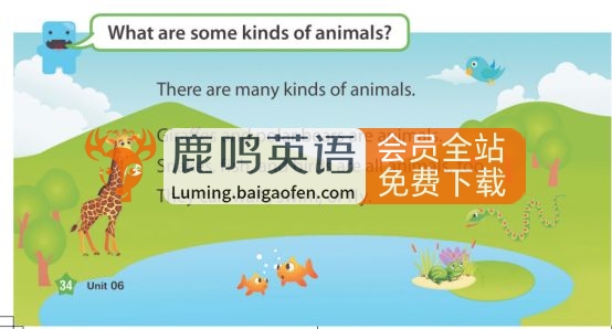美国幼儿园原版教材《American textbook》全套PDF+音频！百度网盘下载！