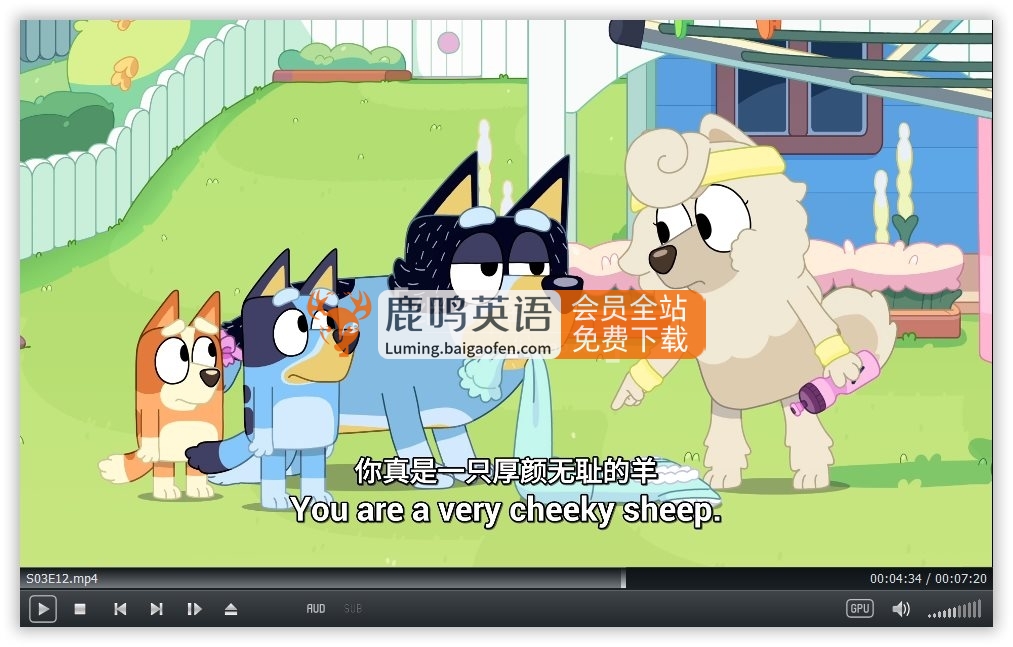 中英文字幕《Bluey 布鲁伊一家 全集》全3季共154集，1080P高清视频英语动画片，送配套音频MP3，百度网盘下载！